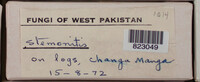 Image Associated With the Occurence